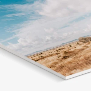 Photos On Foam Board