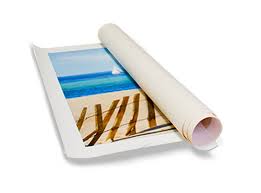 Rolled Canvas Prints